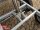 EDUARD 2615 -GD- Heckkipper, Bordwände 30cm -2500kg- H-Pumpe - Lfh: 72cm -165R13