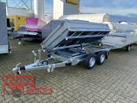 Saris K3 306 170 2700 2 Elektro - Notpumpe - 2700 kg Dreiseiten - Seitenkipper