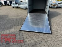 martz KARGO 300 C R 2T Plywood Kofferanhänger mit Rampe - Tandem gebremst mit Zurrleisten - Heckstützen
