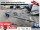 Brenderup 242000T B SR - Bootsanhänger f. Boote bis 7,2m - gebremst - Superrollen
