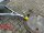 HUMBAUR Steely 750 kg ungebremst 205 x 109 mit Bordwand-Aufsatz kpl. 300 mm ( beigelegt )