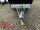 HUMBAUR HA 203015  KV ALU 2000 kg gebremst 303 x 150 mit Hochplane EDITION Black Bill